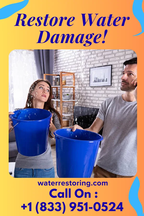 water restoration Solid Property Restoration Pros Willow City