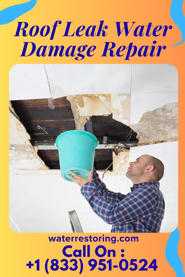 Roof Leak Water Damage Repair in Willow City, ND