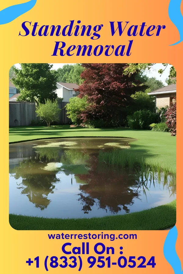 Standing Water Removal in Willow City, ND